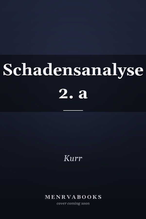 Schadensanalyse 2. a