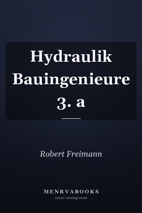Hydraulik Bauingenieure 3. a