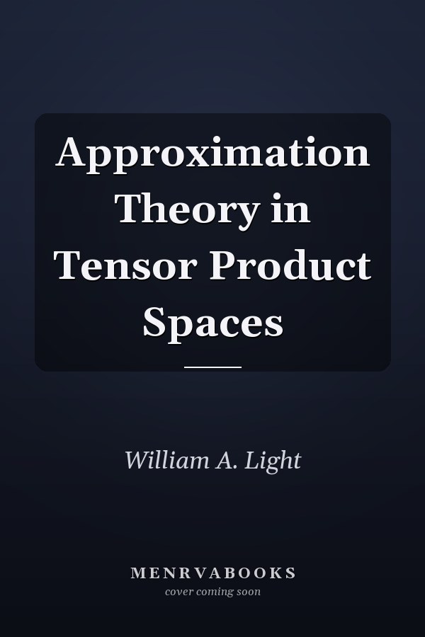 Approximation Theory in Tensor Product Spaces