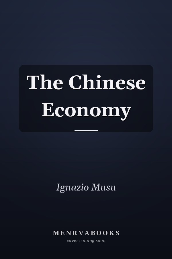 The Chinese Economy