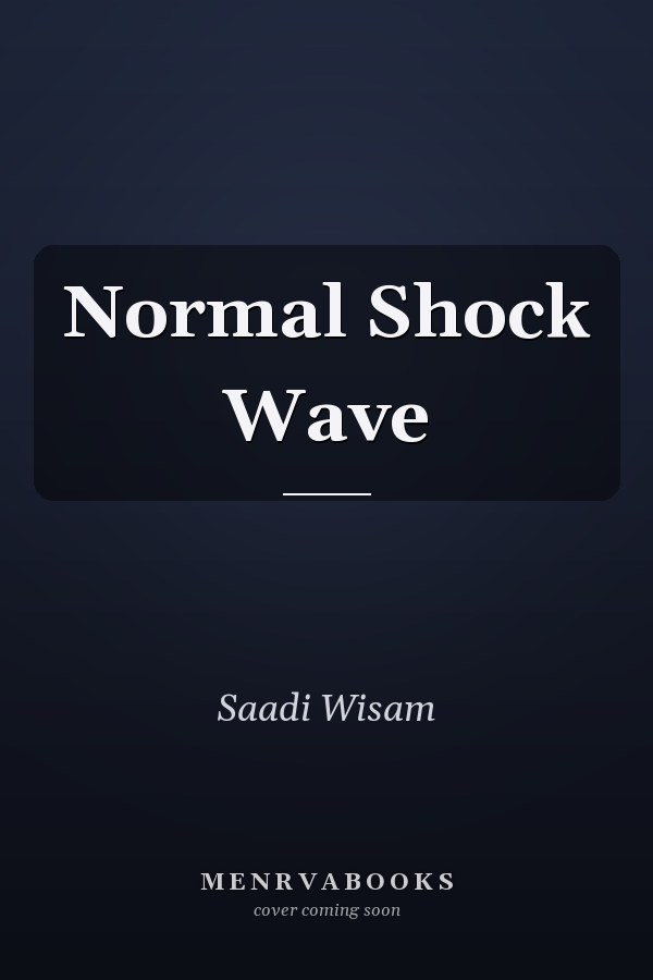 Normal Shock Wave