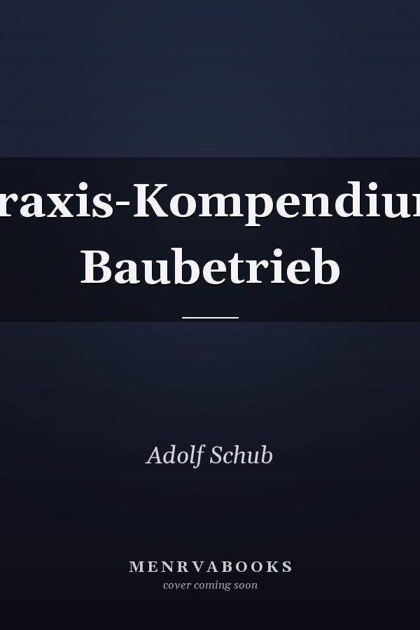 Praxis-Kompendium Baubetrieb