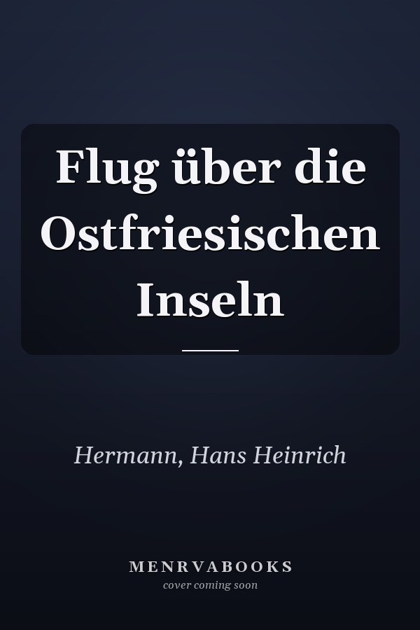 Flug über die Ostfriesischen Inseln