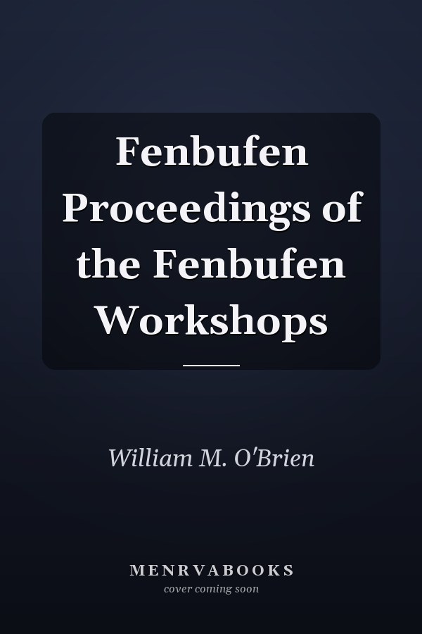 Fenbufen Proceedings of the Fenbufen Workshops