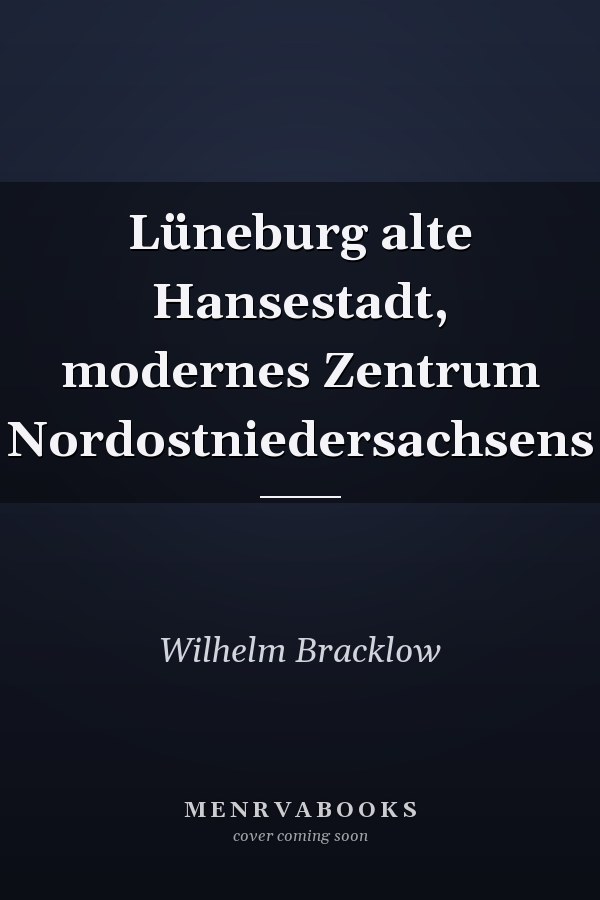 Lüneburg alte Hansestadt, modernes Zentrum Nordostniedersachsens