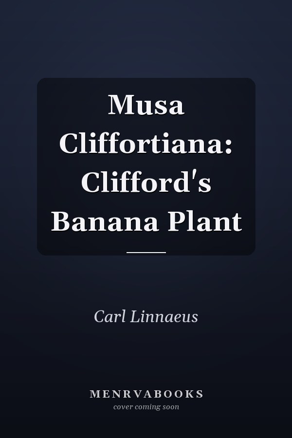 Musa Cliffortiana: Clifford's Banana Plant