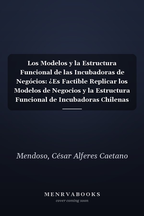 Los Modelos y la Estructura Funcional de las Incubadoras de Negócios: ¿Es Factible Replicar los Modelos de Negocios y la Estructura Funcional de Incubadoras Chilenas para Mozambique? (Spanish Edition)