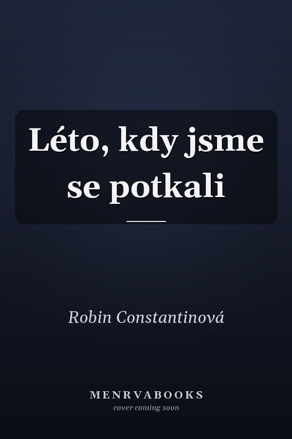 Léto, kdy jsme se potkali