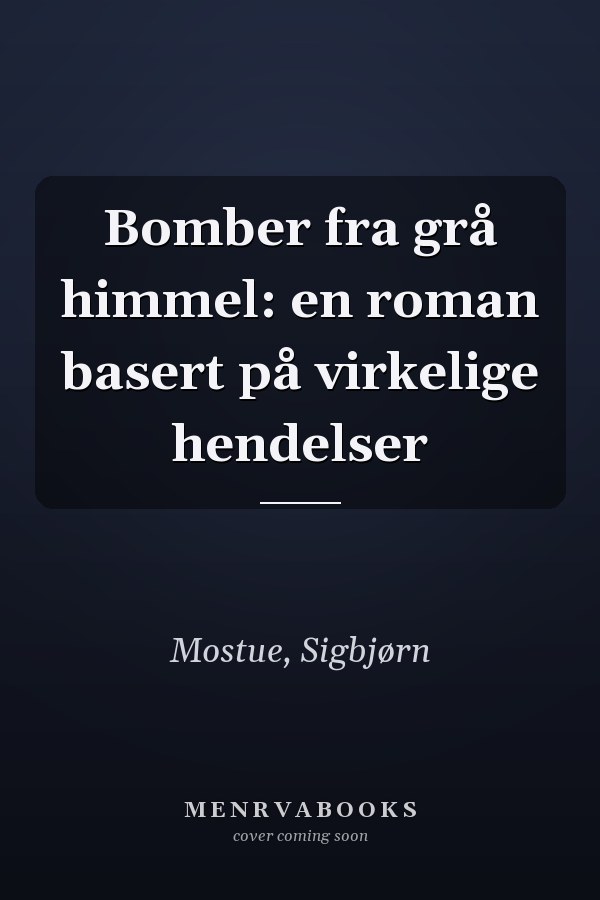 Bomber fra grå himmel: en roman basert på virkelige hendelser