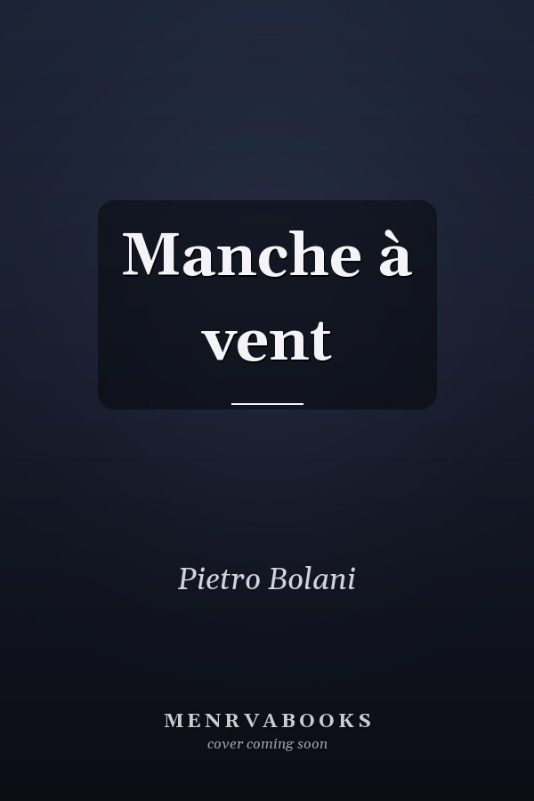 Manche à vent
