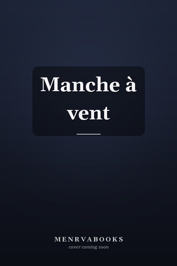 Manche à vent