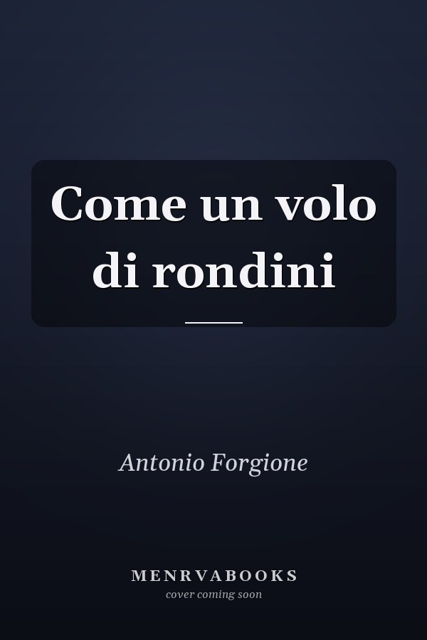 Come un volo di rondini