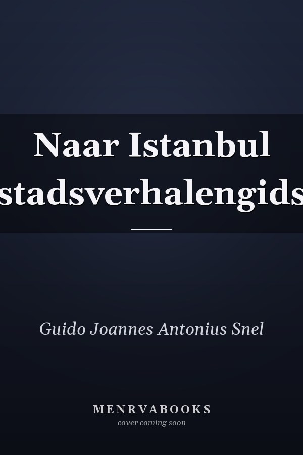 Naar Istanbul stadsverhalengids