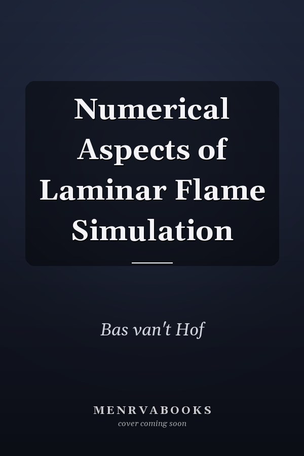 Numerical Aspects of Laminar Flame Simulation