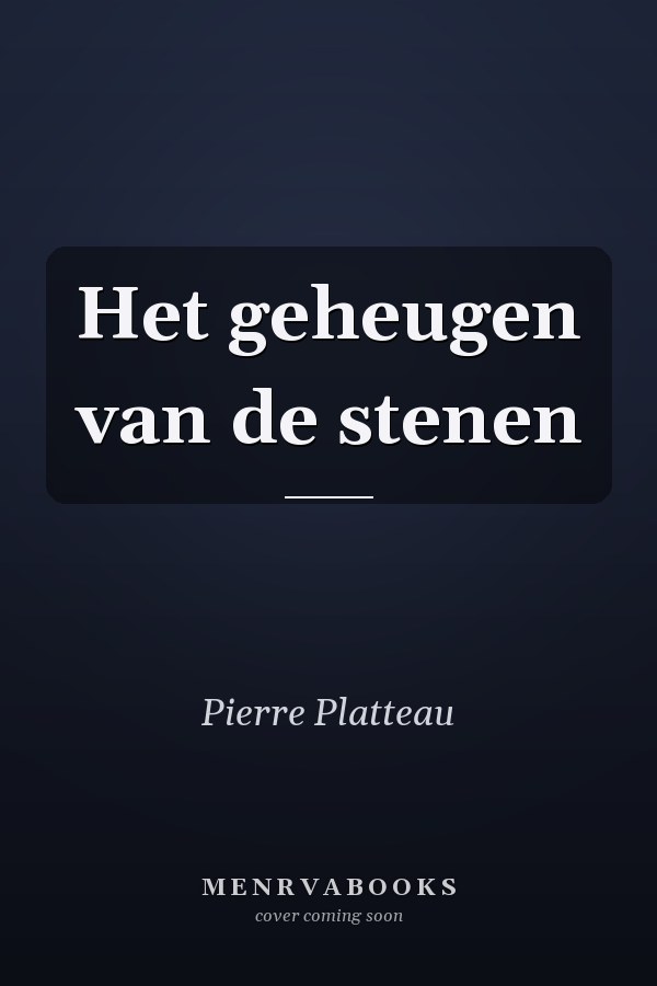 Het geheugen van de stenen