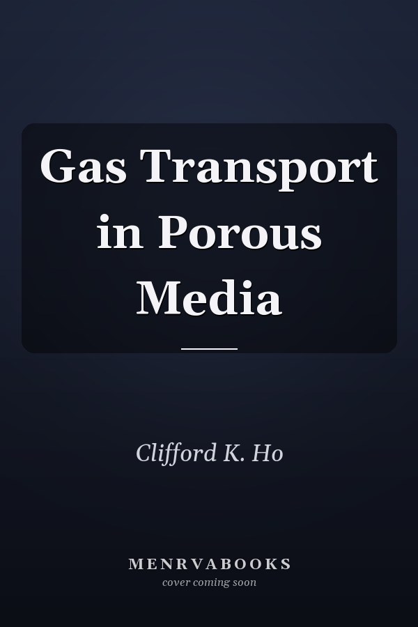 Gas Transport in Porous Media