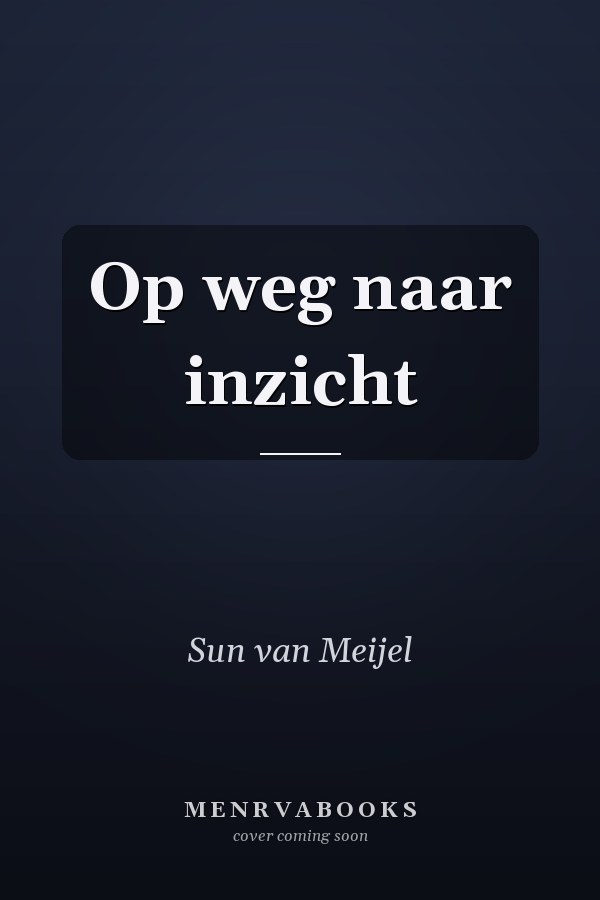 Op weg naar inzicht