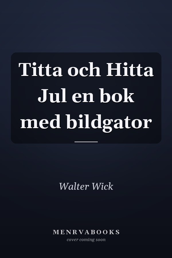 Titta och Hitta Jul en bok med bildgator