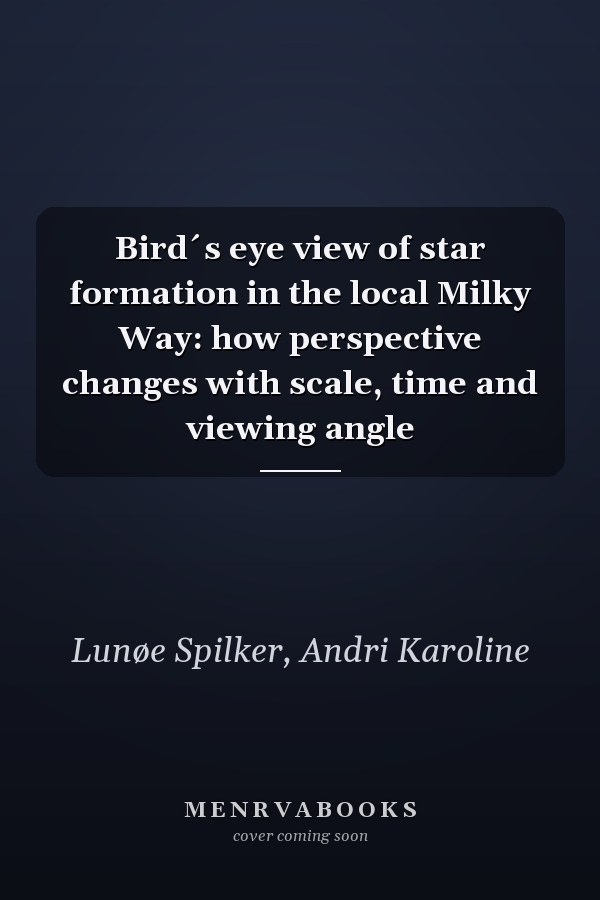 Bird´s eye view of star formation in the local Milky Way: how perspective changes with scale, time and viewing angle
