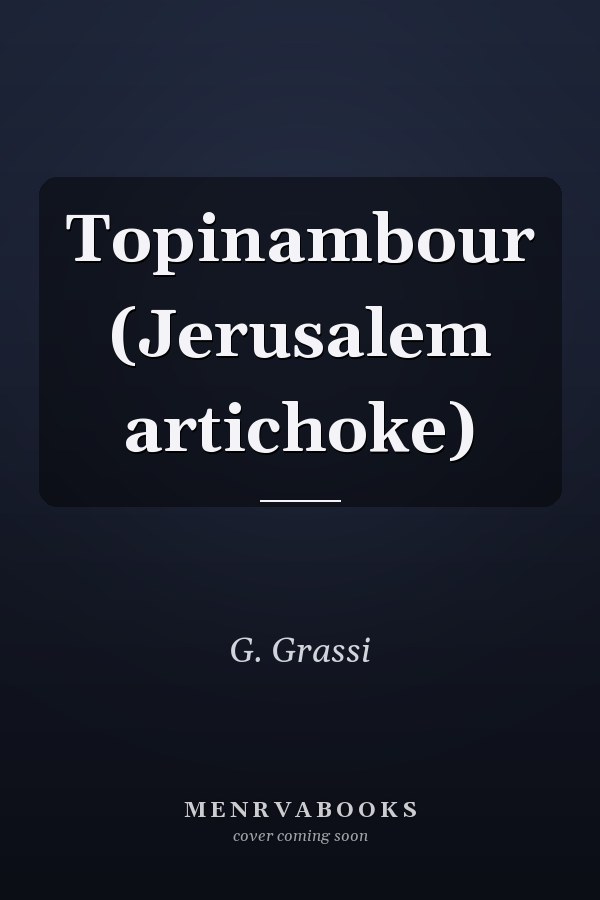 Topinambour (Jerusalem artichoke)