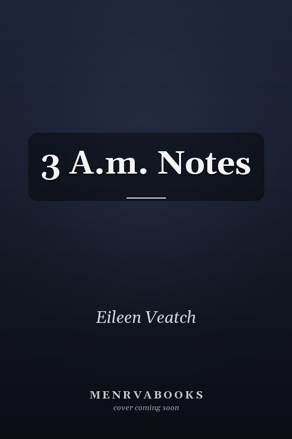 3 A.m. Notes