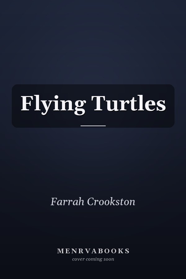 Flying Turtles