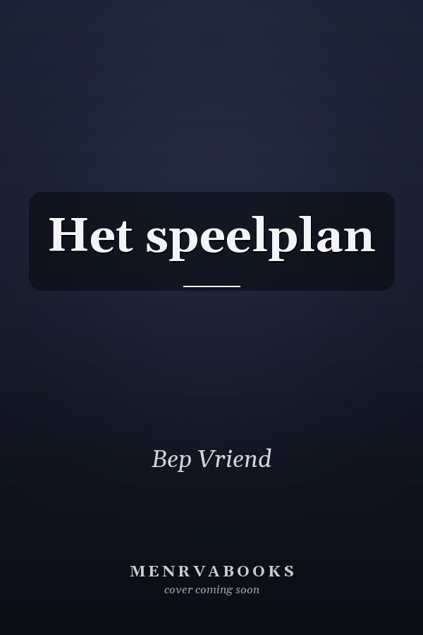 Het speelplan