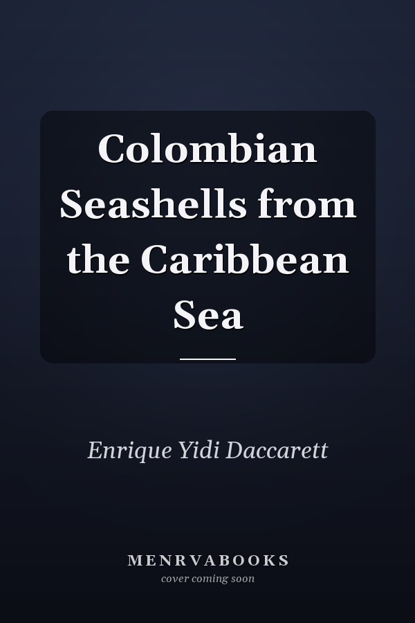 Colombian Seashells from the Caribbean Sea