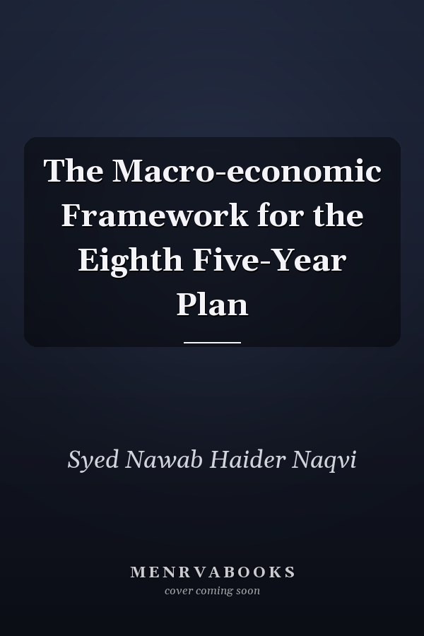 The Macro-economic Framework for the Eighth Five-Year Plan