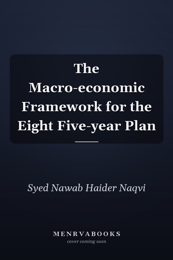 The Macro-economic Framework for the Eight Five-year Plan