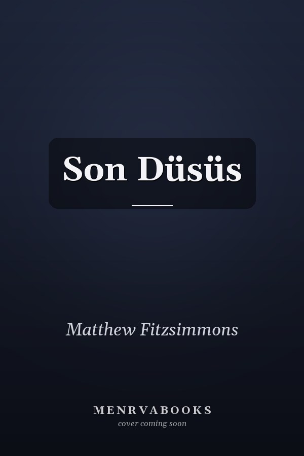 Son Düsüs