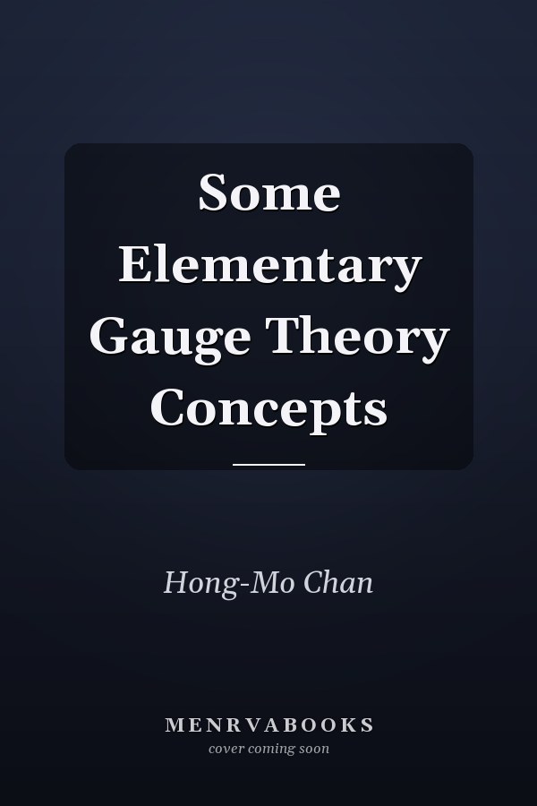 Some Elementary Gauge Theory Concepts
