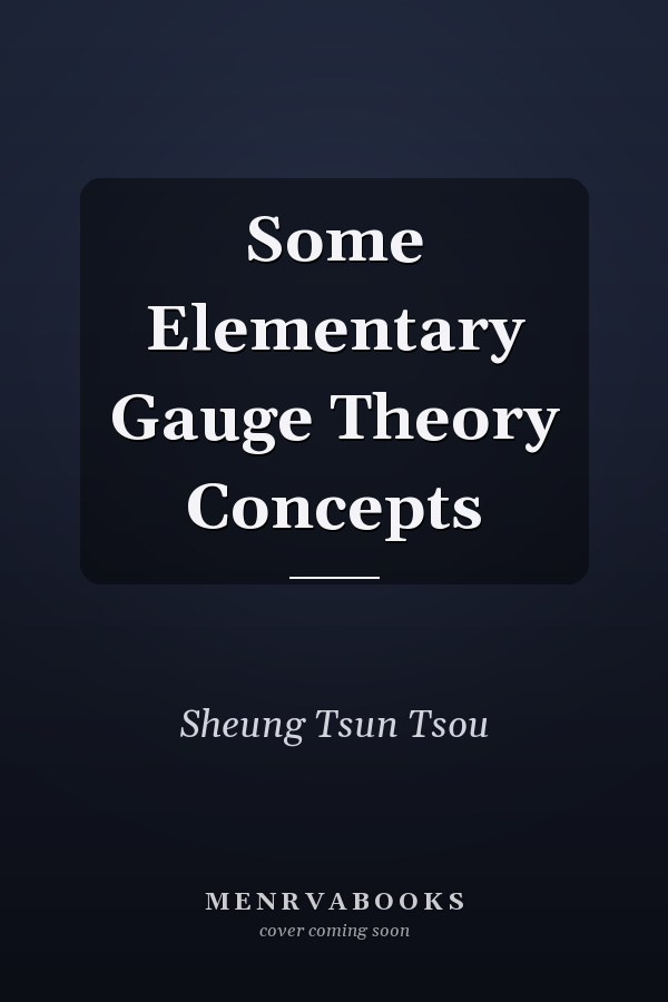 Some Elementary Gauge Theory Concepts