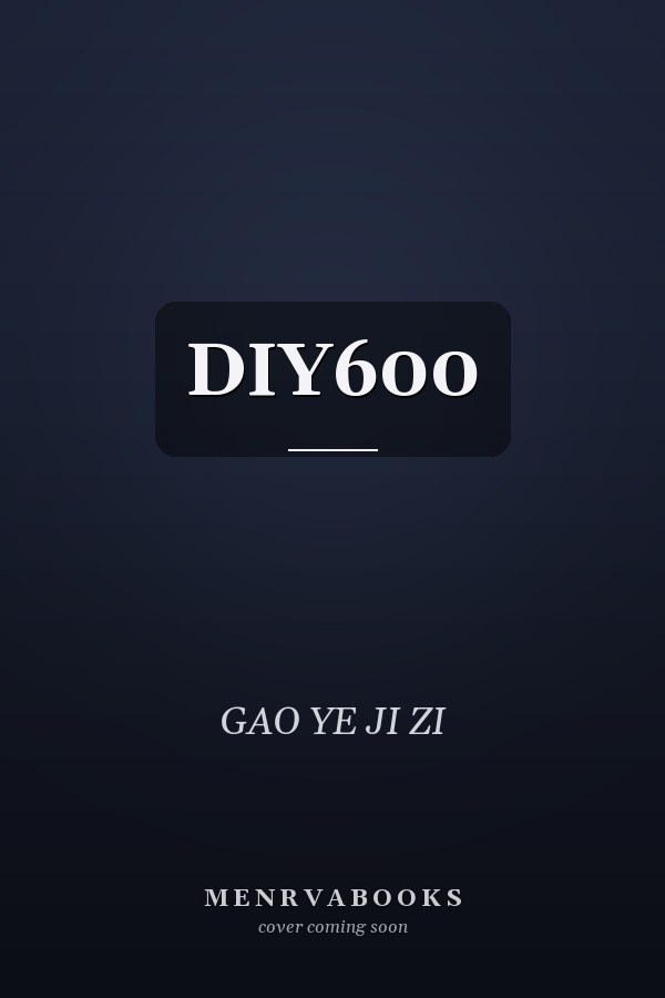  DIY600