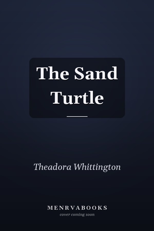 The Sand Turtle