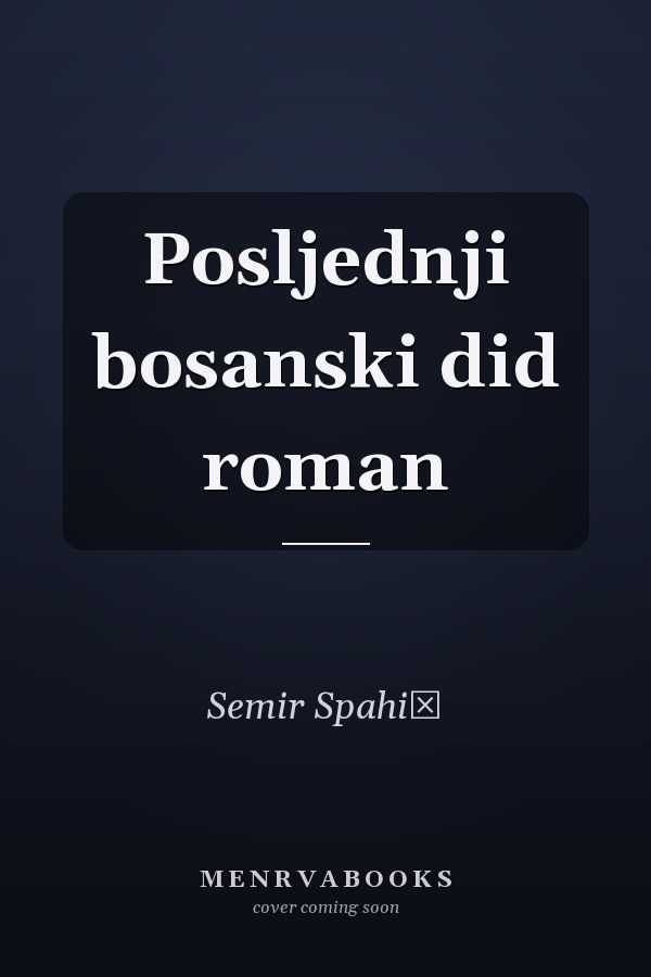 Posljednji bosanski did roman