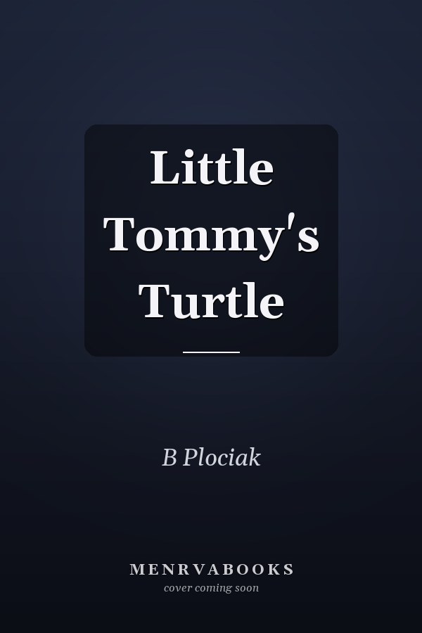 Little Tommy's Turtle