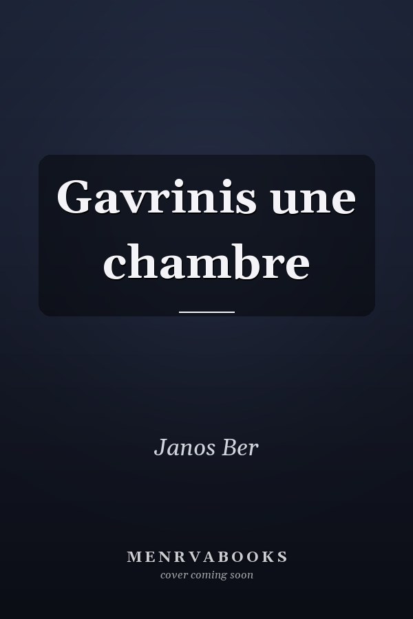 Gavrinis une chambre