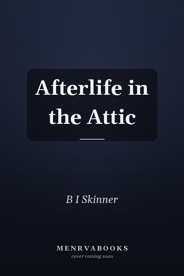 Afterlife in the Attic