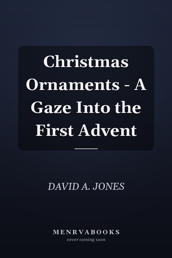 Christmas Ornaments - A Gaze Into the First Advent