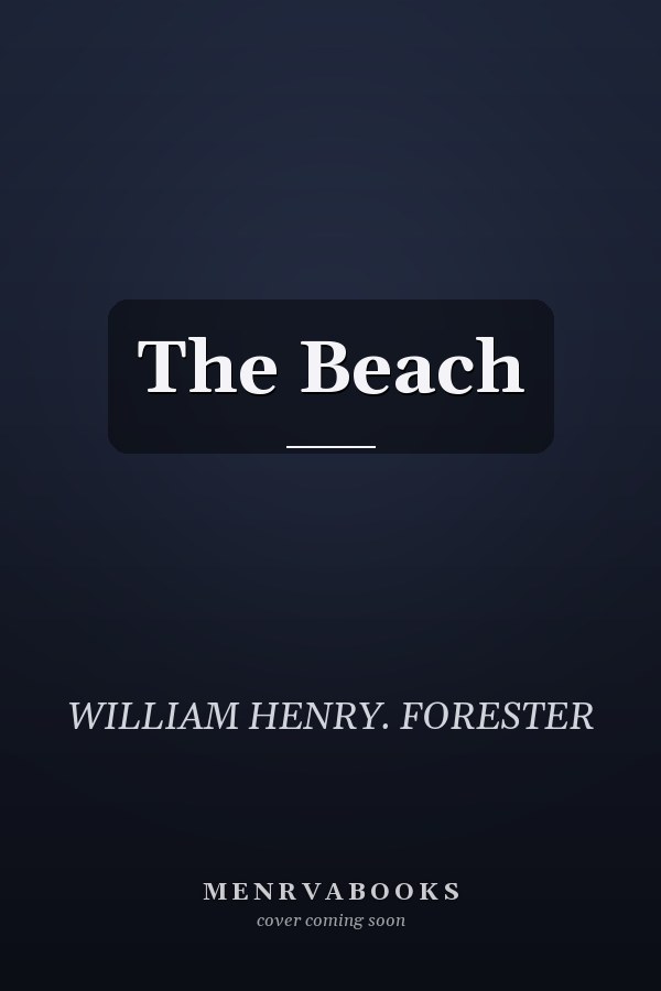 The Beach