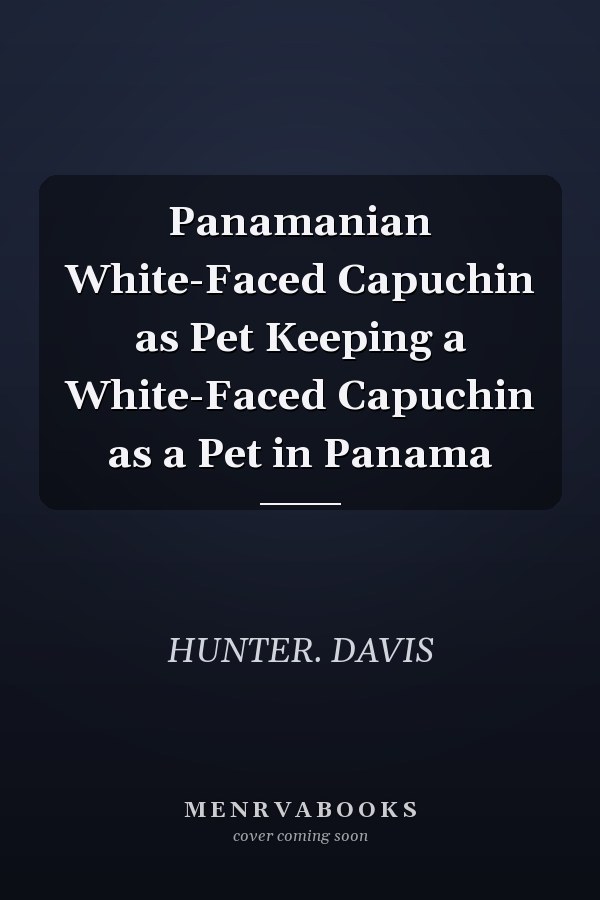 Panamanian White-Faced Capuchin as Pet Keeping a White-Faced Capuchin as a Pet in Panama