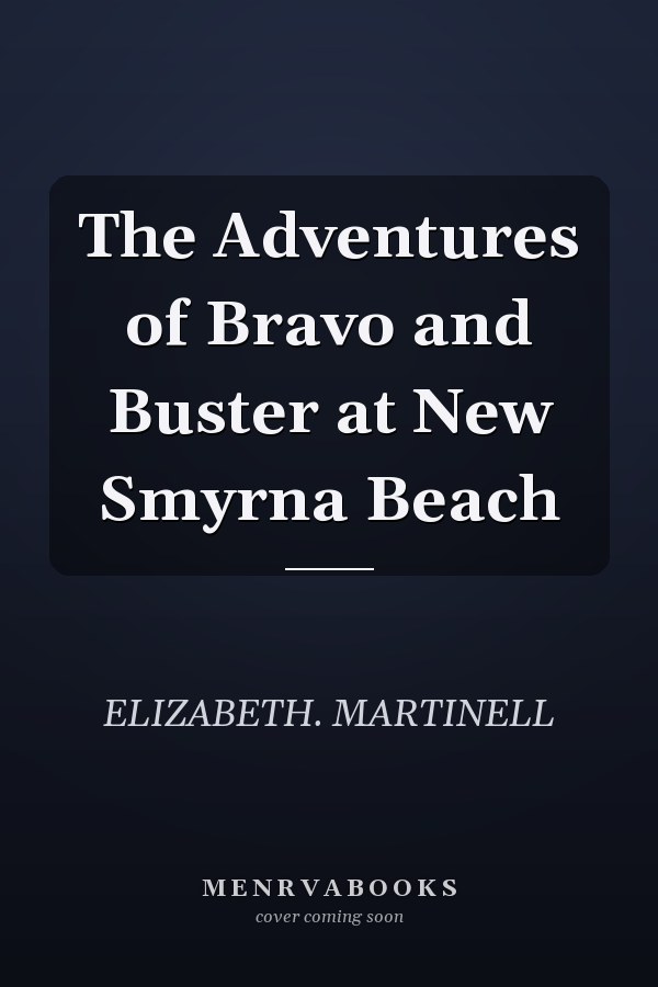 The Adventures of Bravo and Buster at New Smyrna Beach