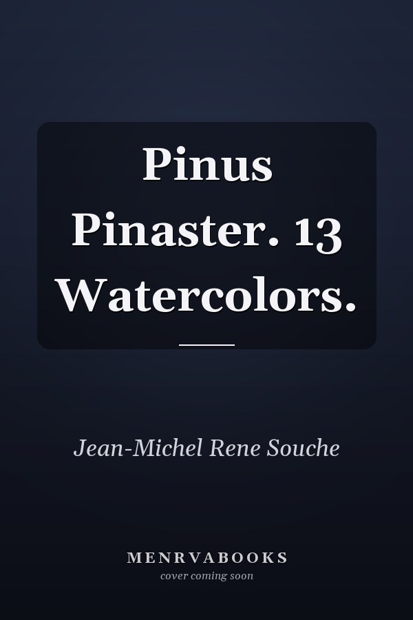 Pinus Pinaster. 13 Watercolors.