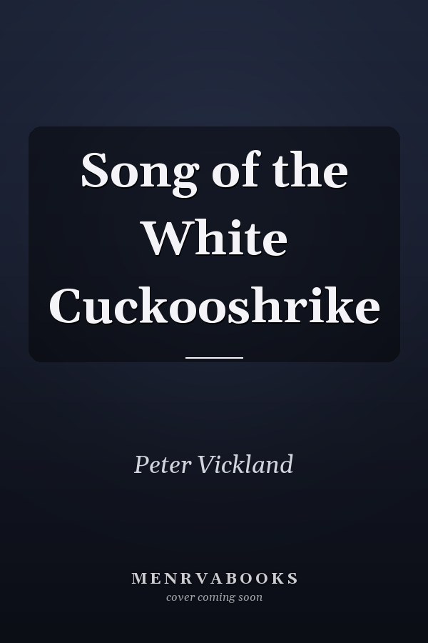 Song of the White Cuckooshrike