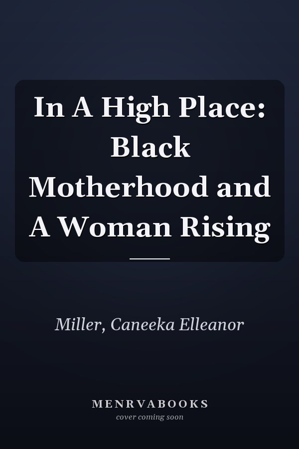 In A High Place: Black Motherhood and A Woman Rising