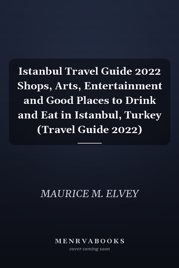 Istanbul Travel Guide 2022 Shops, Arts, Entertainment and Good Places to Drink and Eat in Istanbul, Turkey (Travel Guide 2022)