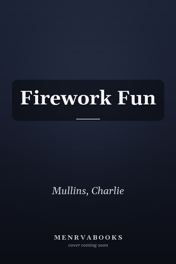 Firework Fun
