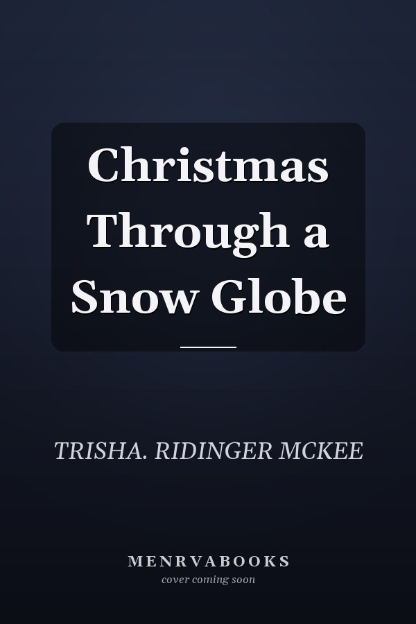 Christmas Through a Snow Globe