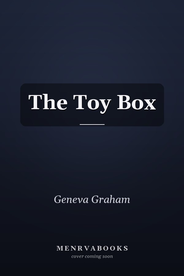 The Toy Box